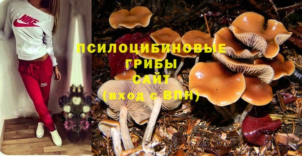 гидра Строитель