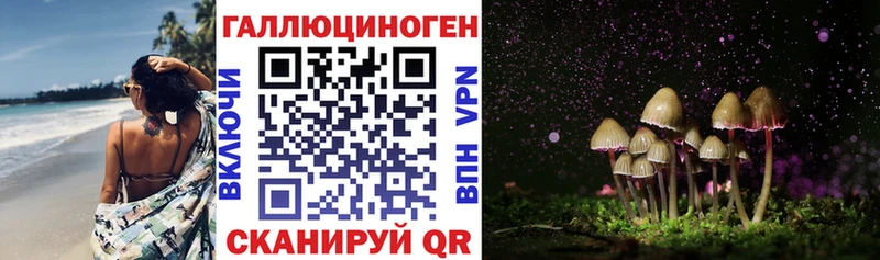 кракен сайт  Гремячинск  даркнет формула  Галлюциногенные грибы мицелий 